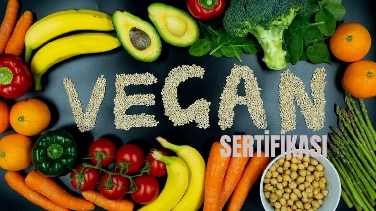 Vegan Belgesi ve Sürdürülebilir Moda Endüstrisi