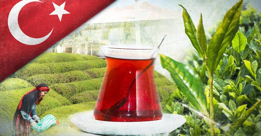Türk çayında 6.2 milyon dolar, kar yağışı olan tek çay