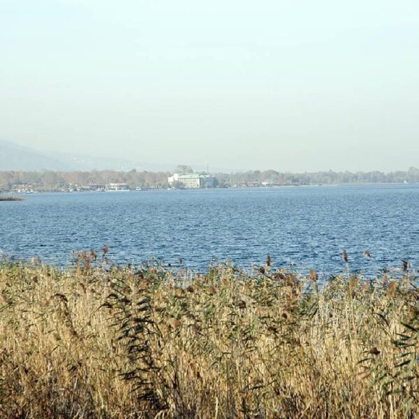 Sapanca Gölü’nde mahsur kalan 17 kişi jandarma ekiplerince kurtarıldı