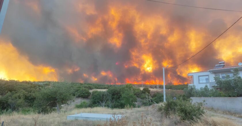 Tekirdağ’da anız yangını ormana sıçradı