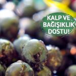Binlerce yıllık şifa kaynağı: Yorgunluğu azaltır, kan basıncını düzenler! Faydaları say say bitmiyor