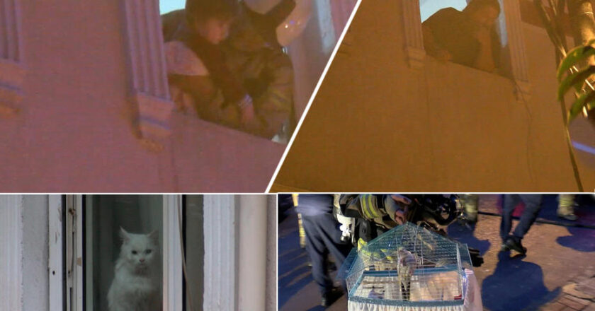 Apartman Yangınında Hayatta Kalma Mücadelesi